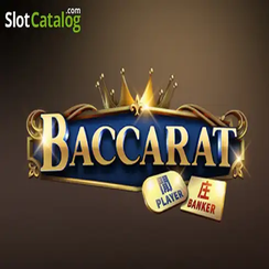 2222bet review ব্যাকারেট C08
